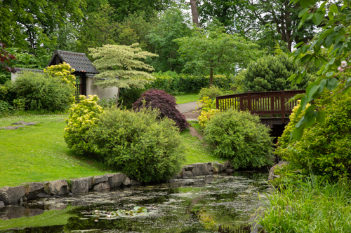 kyoto friendship garden