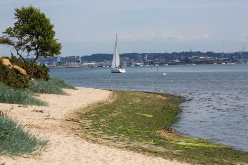 poole